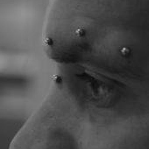 Eyebrow Piercing